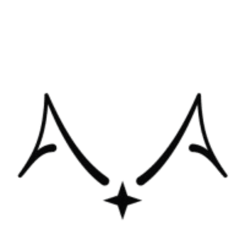 erpnext implementation